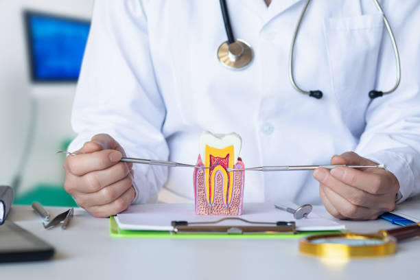 Best Emergency Broken Tooth Repair in Terryville, NY
